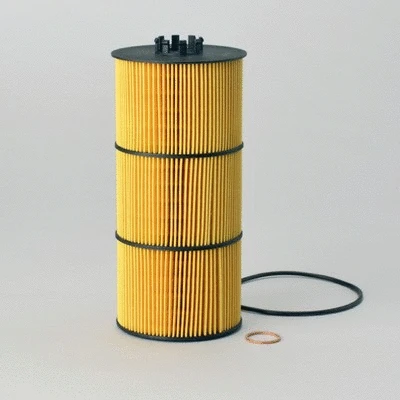 Oil Filter (P551005)