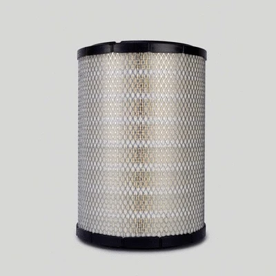 Air Filter (P536457)