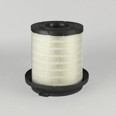 Air Filter (P781465)