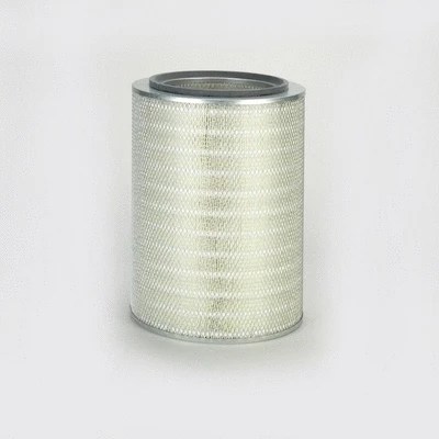 Air Filter (P775843)