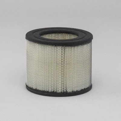 Air Filter (P528221)