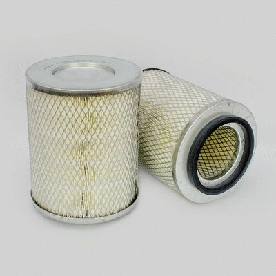 Air Filter (P771594)