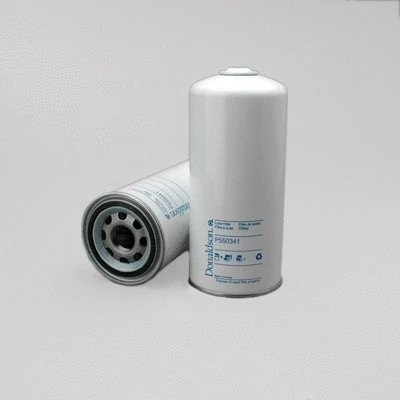Oil Filter (P550341)