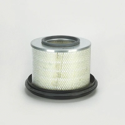 Air Filter (P776386)