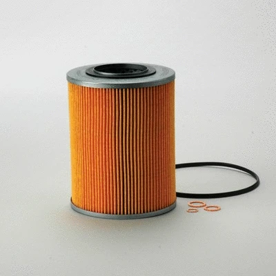Oil Filter (P550021)