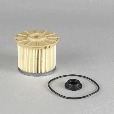 Fuel Filter (P506009)