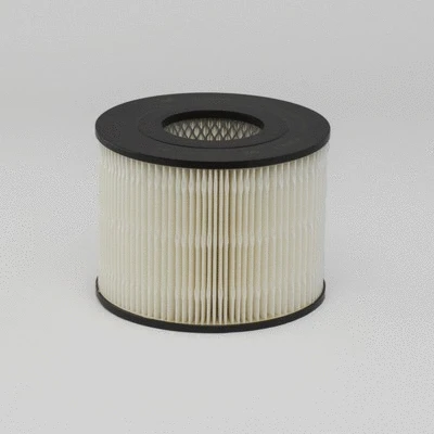 Air Filter (P500017)