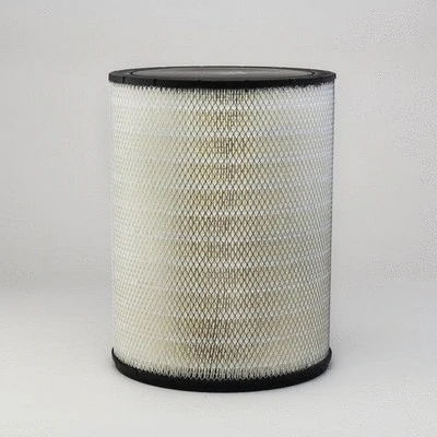 Air Filter (P181109)