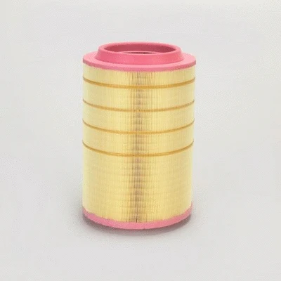 Air Filter (P785353)