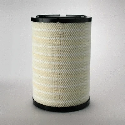 Air Filter (P780622)