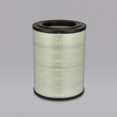 Air Filter (P500197)
