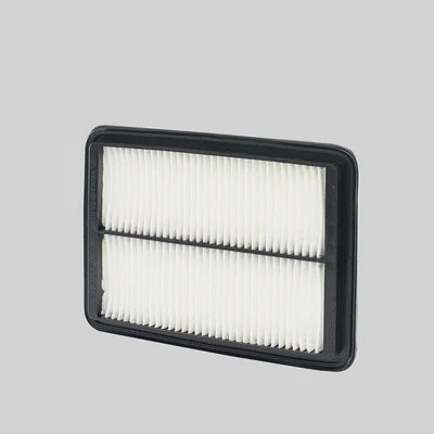 Air Filter (P506065)