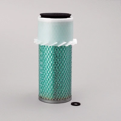 Air Filter (P122510)