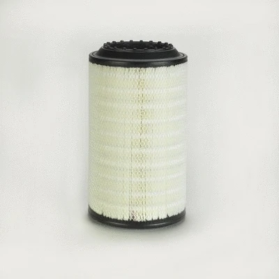 Air Filter (P786421)
