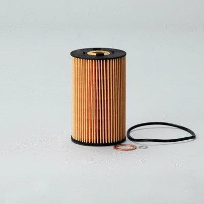 Oil Filter (P550766)