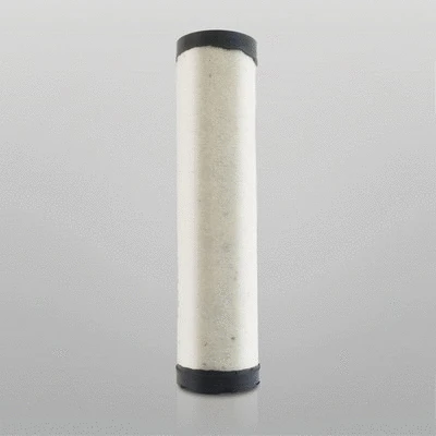 Secondary Air Filter (P780012)