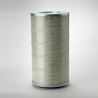 Air Filter (P771561)