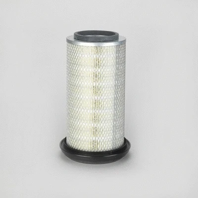 Air Filter (P778462)