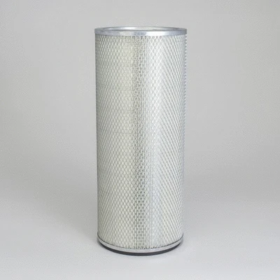 Secondary Air Filter (P133045)