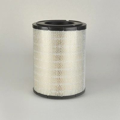 Air Filter (P534435)