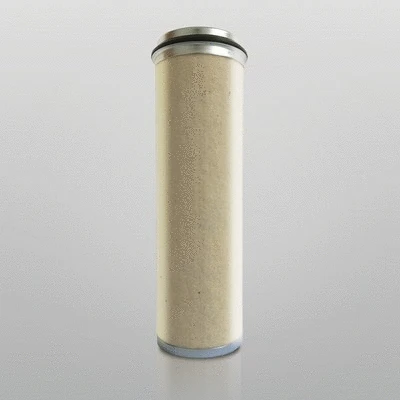 Secondary Air Filter (P776696)