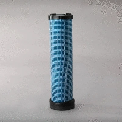 Secondary Air Filter (P829333)
