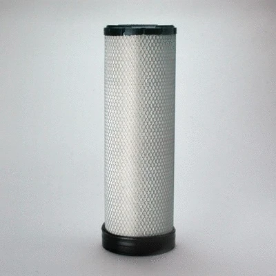Secondary Air Filter (P781228)