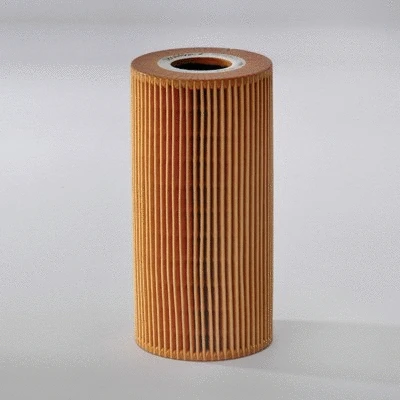 Oil Filter (P550563)