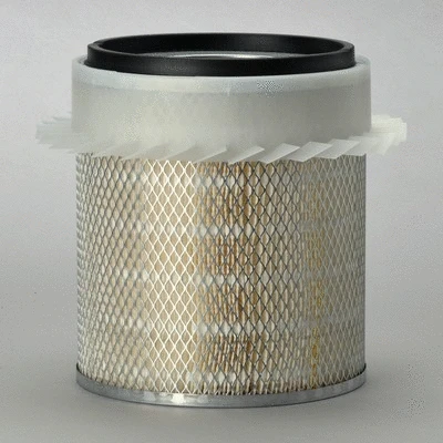 Air Filter (P182035)
