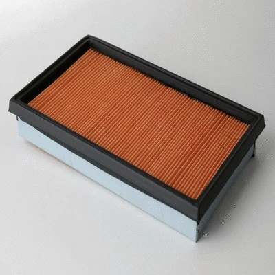 Air Filter (P500063)