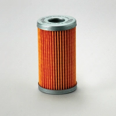 Fuel Filter (P502161)