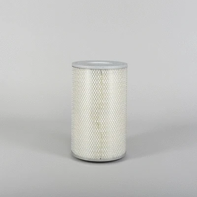 Air Filter (P140136)