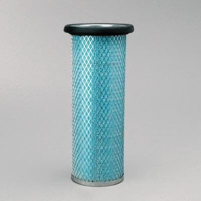 Secondary Air Filter (P119374)