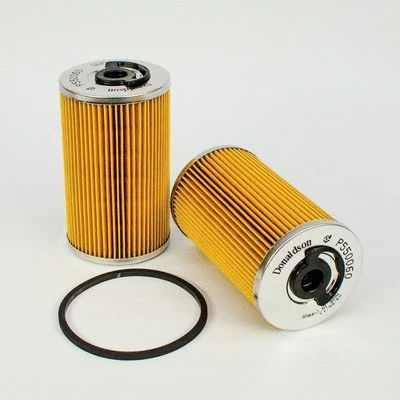Fuel Filter (P550060)