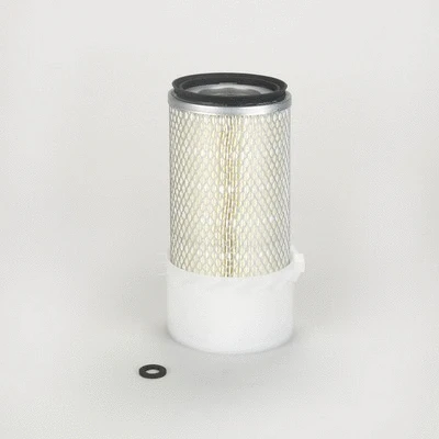 Air Filter (P123159)