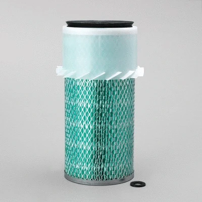 Air Filter (P122514)