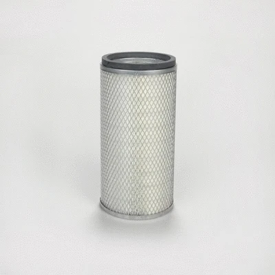 Secondary Air Filter (P119371)