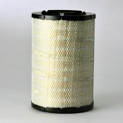 Air Filter (P782137)