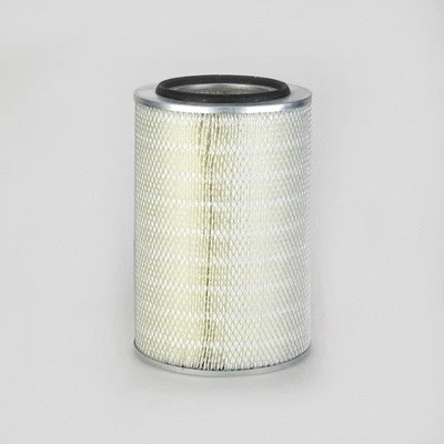 Air Filter (P778441)