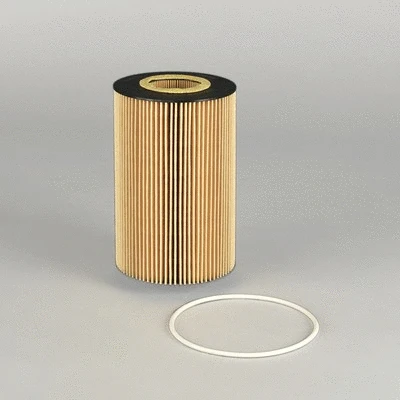 Oil Filter (P550905)