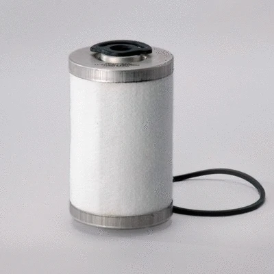 Fuel Filter (P550120)
