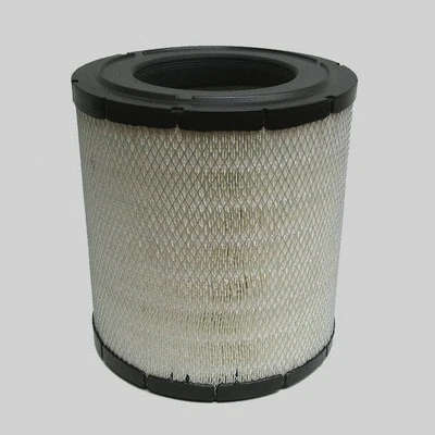 Air Filter (P780731)