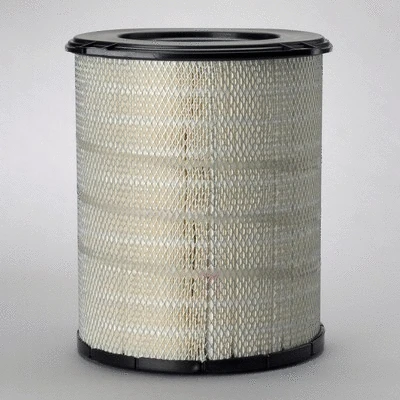 Air Filter (P778779)