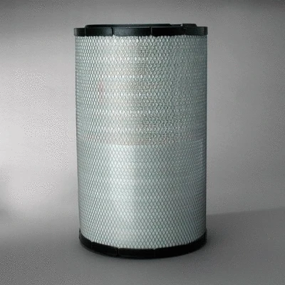 Air Filter (P777868)