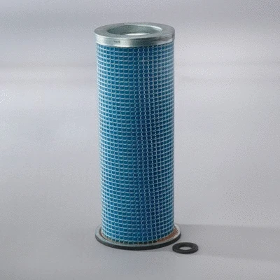 Secondary Air Filter (P770735)