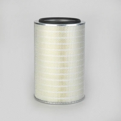 Air Filter (P778081)