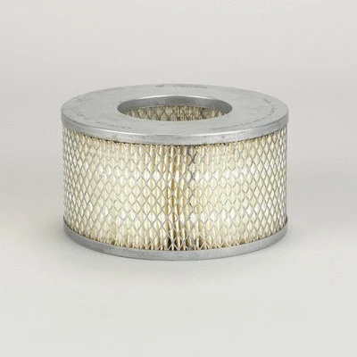 Air Filter (P901934)