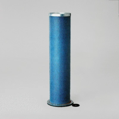Secondary Air Filter (P119410)