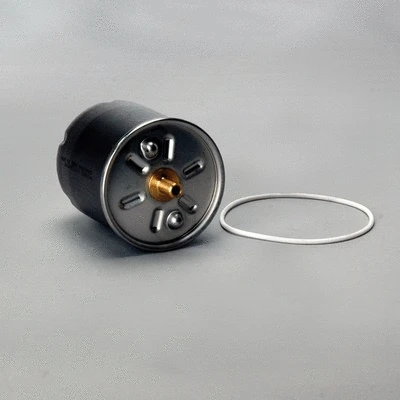 Oil Filter (P574862)