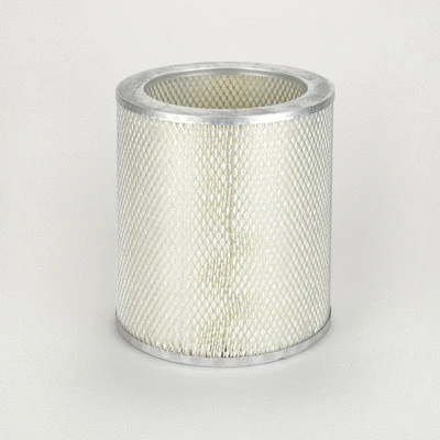 Air Filter (P015838)